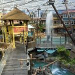Waterpark Indoor Aerial